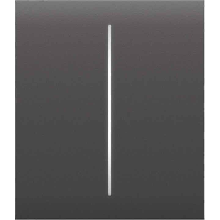 Ajax CenterButton (2-gang) [55] Grey – 52183.140.GR