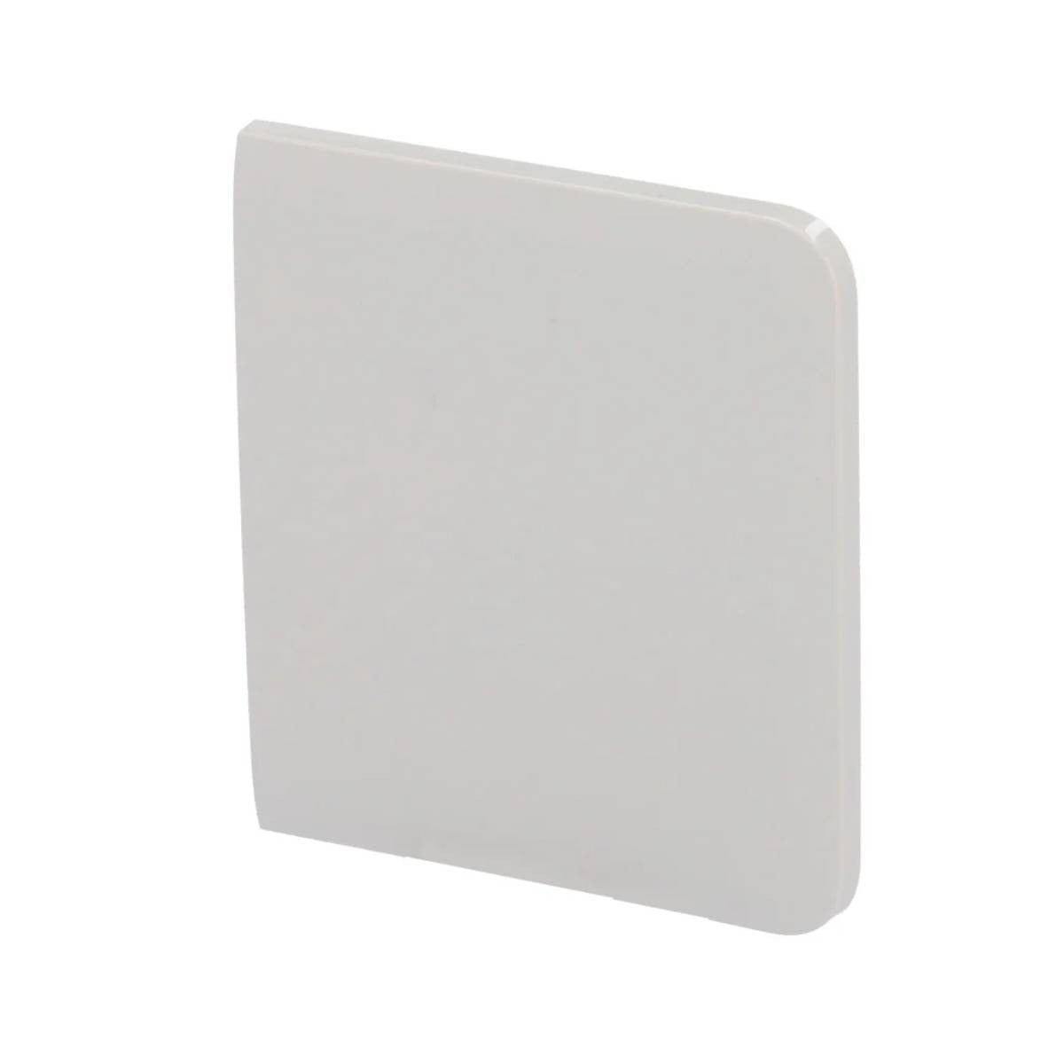 Ajax SideButton (1-gang/2-way) [55] Oyster – 52161.143.OY